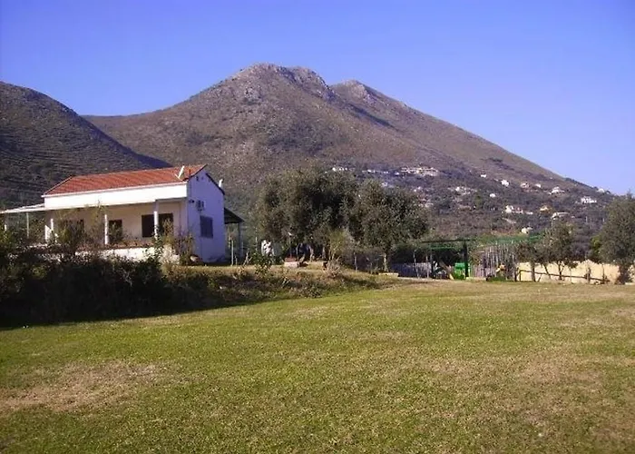 Azienda Agricola 25 Ponti